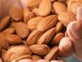 एका दिवसात किती बदाम खावेत, सकाळी रिकाम्या पोटी की रात्री... कोणती वेळ जास्त फायदेशीर? - Marathi News | health how many almonds one should eat in day right ways to eat | Latest sakhi News at Lokmat.com