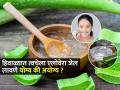 थंडीच्या दिवसांत त्वचेला एलोवेरा जेल लावावे की लावू नये ? ही पहा योग्य पद्धत... - Marathi News | Aloe Vera for your skin during winters How to use aloe Vera gel on skin during winters | Latest sakhi News at Lokmat.com
