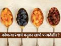 काळ्या-पिवळ्या-लाल की हिरव्या, कोणत्या मनुका खाणं जास्त फांयद्याचं? मनुका-बेदाणे खावे नक्की कधी? - Marathi News | Which Raisin Is Healthiest Black Yellow Green Or Red Check Details Which Raisin is Healthiest Black, green, golden or red Know the types of raisins and their benefits | Latest sakhi News at Lokmat.com