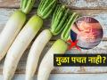 मुळा खाल्ल्यानंतर अपचन, गॅसेस होतात? ३ गोष्टी लक्षात ठेवा, मुळ्याचा अजिबात त्रास होणार नाही - Marathi News | How to avoid bloating and gases after eating mooli, best way to eat mooli or radish | Latest sakhi News at Lokmat.com