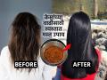 केस अजिबात वाढत नाही, खूप पातळ झाले? केसांना द्या 'लवंग' टॉनिक! महिनाभरात केस वाढतील - Marathi News | use of lavang or clove for fast hair growth, best remedy for reducing Dandruff, how to control hair fall | Latest sakhi News at Lokmat.com