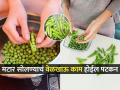 मटार सोलण्याचं काम होईल झटपट, ३ ट्रिक्स- काही मिनिटांतच मटार होतील सोलून... - Marathi News | Try These Easy Tips & Tricks To Peel Green Peas Easily Trick to peel green peas in minutes How to peel the green peas fast | Latest sakhi News at Lokmat.com