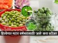 हिवाळ्यात स्वस्त मिळतात मटार, घरी ‘असे’ करा फ्रोजन मटार, रंग आणि स्वाद वर्षभर टिकेल... - Marathi News | How To Store Matar (Green Peas) Preserve For 1 Year How To Store Green Peas At Home Up to One Year How to preserve fresh green Peas | Latest sakhi News at Lokmat.com