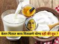 चेहऱ्याला बेसन लावताना दुधात कालवावे की दह्यात? बघा नक्की काय लावल्याने चमकतो चेहरा... - Marathi News | What To Add In Besan Milk Or Curd For Skin Benefits Of Applying Besan Pack On Face | Latest sakhi News at Lokmat.com