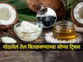 थंडीने बाटलीतील तेल गोठलं? सोप्या झटपट ५ टिप्स, तेल गरम न करताही होईल पातळ-प्रवाही... - Marathi News | How To Prevent Coconut Oil Getting Freeze In Winter Use These Tricks To Melt How to stop coconut oil from freezing during winters How to Melt Coconut Oil in Winter | Latest sakhi Photos at Lokmat.com