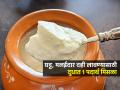 घरात दही नीट लागत नाही-पाणीच फार राहतं? १ खास ट्रिक; घट्ट, मलाईदार दही लागेल घरीच... - Marathi News | How To Make Thick Curd Or Dahi At Home In Winter Know The Secreat | Latest sakhi News at Lokmat.com