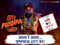 २३ मिनिटांच्या बोनस फुटेजसह 'पुष्पा २: द रुल' ओटीटीवर प्रदर्शित, कुठे पाहता येणार? - Marathi News | Allu Arjun's Pushpa 2 Released On Netflix With 23 Minutes Of Extra Footage | Latest filmy News at Lokmat.com