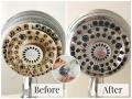 Shower Head Cleaning: शॉवरच्या छिद्रांमध्ये अडकलेली घाण हातही न लावता स्वच्छ करण्याचा भन्नाट उपाय  - Marathi News | how to clean shower head, most easy and simple method of cleaning shower head without using brush | Latest sakhi News at Lokmat.com