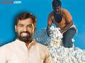 राज्यात २०० कापूस खरेदी केंद्रे सुरू करण्याची आवश्यकता - Marathi News | Need to open 200 cotton procurement centers in the state | Latest nagpur News at Lokmat.com
