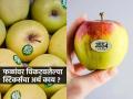 फळांवर जे स्टिकर्स चिटकवलेलेे असतात, त्यांचा अर्थ काय? तुम्ही नक्की काय पाहून फळं घेणं योग्य, वाचा... - Marathi News | What does the number on a fruit sticker mean Stickers On Fruits Facts About Fruit Stickers You Did Not Know | Latest sakhi Photos at Lokmat.com
