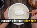 दही खूप आंबट झाल्यास काय करावं? २ टिप्स- आंबटपणा जाऊन दही होईल गोड - Marathi News | how to remove curd sourness, how to turn sour curd into sweet curd, best trick to make sweet curd, how to reduce sourness of curd | Latest sakhi News at Lokmat.com