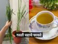 आता चहा पिऊन वजन कमी करा, 'हा ' खास चहा प्या - पोटाच्या तक्रारीही गायब - Marathi News | Now drink tea and lose weight.. see the recipe.. as well as other amazing benefits | Latest sakhi News at Lokmat.com