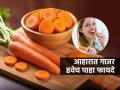 गाजर एक आणि फायदे अनेक, पोटाची कुरकुर असो वा हाडांची कडकड - होईल बंद - Marathi News | One carrot and many benefits, whether it's a stomach grumble or a bone ache - it will be stopped | Latest sakhi Photos at Lokmat.com