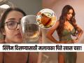मलायका अरोराच्या परफेक्ट फिगरचे सीक्रेट, सकाळी 'हा' कपभर चहा पिते रोज... - Marathi News | Why Malaika Arora swears by clove tea Health benefits you need to know Malaika Arora Drink Clove Tea Know Its Health Benefits | Latest sakhi News at Lokmat.com