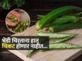 भेंडी चिरताना हात चिकट - बुळबुळीत होतात? ४ टिप्स, हात चिकट न होता भेंडी चिरा भरभर... - Marathi News | How To Remove Stickiness Of Lady Finger On Hands & Knife Tired of sticky mess when chopping Lady Finger | Latest sakhi News at Lokmat.com
