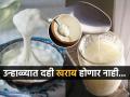 उन्हाळ्यात दह्याला तार सुटते, वास येतो? ४ टिप्स - खराब न होता दही आठवडाभर राहील घट्ट -मस्त - Marathi News | How To Prevent Souring Of Curd in Summer And Tips To Store it Right Smart Ways To Store Curd In Summer And Keep It Fresh For Long How To Keep Curd Fresh And Creamy In Summer | Latest sakhi News at Lokmat.com