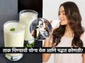 उन्हाळ्यात ताक प्यावं पण कधी, दुपारी-रात्री की कधीही? ताक पिण्याचा ‘हा’ नियम अजिबात विसरु नका.... - Marathi News | What Is The Right Time To Drink Buttermilk In Summer How Much Buttermilk Drink in A Day | Latest sakhi News at Lokmat.com
