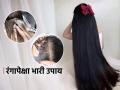 कलर विसरा, डाय विसरा ‘हा’ नॅचरल उपाय करतो केस काळे आणि मऊ, साइड इफेक्ट्स नाहीत.. - Marathi News | Forget color, forget dye, this natural remedy makes hair black | Latest sakhi Photos at Lokmat.com