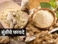 सुंठ म्हणजे स्वयंपाकघरातलं उत्तम औषध, डोकेदुखीवर तर उत्तम उपाय! सुंठीचे ८ फायदे आणि उपाय - Marathi News | dry ginger is the best medicine and a great remedy for headache | Latest sakhi News at Lokmat.com
