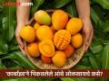 तुम्ही 'कॅल्शियम कार्बाइड'ने पिकवलेले आंबे तर खात नाही ना? - Marathi News | Are you eating mangoes ripened with 'calcium carbide'? | Latest nagpur News at Lokmat.com
