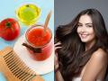 केसांना लावा टोमॅटो हेअर मास्क! डोक्यातला कोंडा कमी होऊन केस होतील मुलायम, सिल्की - Marathi News | tomato hair mask for removing dandruff, benefits of tomato hair mask, home hacks for smooth, shiny hair, how to get rid of dry hair | Latest sakhi Photos at Lokmat.com