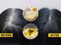 वयाच्या चाळिशीतही पांढरे केस होतील काळे, तेलात मिसळा एक गोष्ट- केसगळतीही थांबेल, सोपा घरगुती उपाय - Marathi News | white hair solution how to make oil for black hair simple home remedies hair falls hair care tips | Latest sakhi News at Lokmat.com