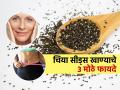 २ आठवडे नियमित चिया सीड्स खाल्ले तर खरंच वजन कमी होऊन तब्येत सुधारते? खाण्यापूर्वी हे वाचा.. - Marathi News | benefits of eating chia seeds daily, health benefits of chia seeds, how to eat chia seeds, proper method of eating chia seeds | Latest sakhi Photos at Lokmat.com