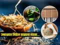 मूठभर वाळा देतो उन्हाळ्यात गारवा! वाळ्याचे अनोखे ७ उपयोग, स्वस्त, सुगंधी व आरोग्यदायी... - Marathi News | Vetiver A Cool Blessing in Hot Summer What is the magical use of vetiver Beat the heat with khus Traditional and Medicinal Uses of Vetiver | Latest sakhi Photos at Lokmat.com