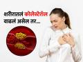 तेलकट- तुपकट न खाताही कोलेस्टेरॉल वाढतं? तज्ज्ञ सांगतात ५ गोष्टी करा- कोलेस्टेरॉल कमी होईल  - Marathi News | how to reduce cholesterol level, health tips to reduce cholesterol level, how to get rid of high cholesterol | Latest sakhi News at Lokmat.com