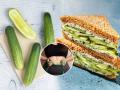 गारेगार काकडी सॅण्डविच खा आणि फिट व्हा, मोजून ५ मिनिटांत करता येणारी चविष्ट रेसिपी - Marathi News | Eat a crunchy cucumber sandwich and get fit, a delicious recipe that can be made in 5 minutes | Latest sakhi News at Lokmat.com