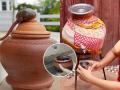गार पाणी हवं म्हणून माठ भरता, पण माठाची ‘अशी’ घ्या काळजी, नाहीतर हमखास पडाल आजारी - Marathi News | do you take care of the water clay pot? if not then you will definitely fall ill. | Latest sakhi News at Lokmat.com