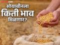 यंदा सोयाबीन दर 'एमएसपी' एवढे तरी राहणार का ? - Marathi News | Will the soybean price remain at the 'MSP' this year? | Latest nagpur News at Lokmat.com
