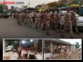 बावनकुळेंच्या निर्देशांनंतर गोवंश तस्करांवर पोलिसांचा हंटर, २४६ गोवंशीय जनावरांची सुटका - Marathi News | | Latest nagpur News at Lokmat.com