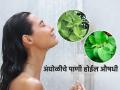 आंघोळीच्या पाण्यात न चुकता घाला ‘ही’ पानं, शरीराची दुर्गंधी आणि स्किन इनफेक्शन पावसाळ्यात छळणार नाही - Marathi News | Always add these leaves to your bath water, body odor and skin infections will not bother you during the monsoon | Latest sakhi News at Lokmat.com