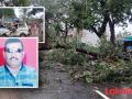 धावत्या कारवर झाड कोसळल्याने दोन जण ठार, तीन जण जखमी - Marathi News | Two killed, three injured as tree falls on moving car | Latest gondia News at Lokmat.com