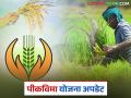 Pik Vima Yojana 2025 : पीकविमा योजनेत सहभागी होण्यासाठी उद्या शेवटचा दिवस? - Marathi News | Pik Vima Yojana 2025 : Is tomorrow the last day to participate in the crop insurance scheme? | Latest agriculture News at Lokmat.com