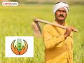 पीकविमा योजनेचे केंद्रीकरण; कापणी प्रयोगात गोंधळ अटळ ! - Marathi News | Centralization of crop insurance scheme; Confusion in harvesting experiment inevitable! | Latest nagpur News at Lokmat.com