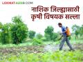 Agriculture News : पुढील पाच दिवस पाऊस कसा राहील, नाशिक जिल्ह्यासाठी कृषी सल्ला  - Marathi News | Latest news Agriculture News rain be for next five days, agricultural advisory for Nashik district | Latest agriculture News at Lokmat.com