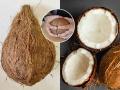 एका सेकंदात करा एका फटक्यात नारळाचे दोन तुकडे, पाहा नारळ फोडण्याची सापी भन्नाट ट्रिक - Marathi News | Easy Hacks To Open Coconut : How To Open Coconut Easily How To Crack A Coconut | Latest sakhi Photos at Lokmat.com