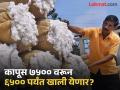 परदेशी स्वस्त कापसामुळे शेतकऱ्यांच्या कापसाचे भाव पडणार; केंद्राच्या धोरणावर शेतकरी नाराज - Marathi News | Farmers' cotton prices will fall due to cheap foreign cotton; Farmers are unhappy with the center's policy | Latest nagpur News at Lokmat.com