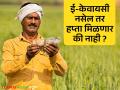 'नमो शेतकरी' योजनेचा सातवा हप्ता या आठवड्यात येणार ! आधार व ई-केवायसी केली ना? - Marathi News | The seventh installment of the 'Namo Shetkari' scheme will arrive this week! Have you done Aadhaar and e-KYC? | Latest amravati News at Lokmat.com