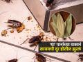 किचनमध्ये बारीक झुरळांचा सुळसुळाट झाला? 'ही' पानं कोपऱ्यात ठेवा, एकूणएक झुरळ होईल गायब - Marathi News | Tips And Tricks Bay Leaf Remedy To Get Rid Of Cockroaches Naturally Chemical Free | Latest sakhi News at Lokmat.com