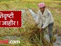 Ativrushti Nuksan Bharpai : चंद्रपुरातील १३ हजार ७४२ शेतकऱ्यांना दिलासा ! तीन महिन्यांनंतर मिळणार अवकाळीचे ७ कोटी - Marathi News | Ativrushti Nuksan Bharpai : Relief for 13 thousand 742 farmers of Chandrapur! After three months, they will get Rs 7 crores in due time. | Latest chandrapur News at Lokmat.com
