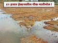 Ativrushti Nuksan Bharpai : नागपूर विभागात ४२ हजार हेक्टरवरील पीक मातीमोल ! नुकसान भरपाई मागणीच्या अर्धी पण नाही - Marathi News | | Latest nagpur News at Lokmat.com