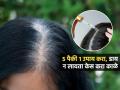 पांढरे केस धाग्यासारखे चमकतात? ५ घरगुती उपायांपैकी १ करा, डाय न करता काळे होतील केस - Marathi News | 5 Best Home Remedies For White Hair Know How To Reverse Greying Of Hair Naturally | Latest sakhi News at Lokmat.com