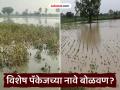 पॅकेजमध्ये समाविष्ट अमरावतीतील तालुके कोणते? जून ते सप्टेंबरदरम्यान नुकसान झालेल्या शेतकऱ्यांना मिळणार मदत - Marathi News | Which talukas in Amravati are included in the package? Farmers who suffered losses between June and September will get assistance | Latest amravati News at Lokmat.com
