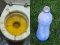हात न लावता, ब्रश न रगडता टॉयलेट होईल स्वच्छ, बाटलीची १ ट्रिक, चमकेल टॉयलेट, बाथरूम - Marathi News | How To Clean Toilet Without Brushing Or Without Touching Easy Way To Clean Toilet | Latest sakhi News at Lokmat.com