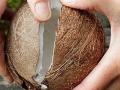 नारळ फोडण्याची भन्नाट ट्रिक! २ मिनिटांत नारळ फुटून खोबरं येईल हातात-करा सोपी युक्ती - Marathi News | How To Remove Coconut From Coconut Shell Easily How To Break Coconut Easily | Latest sakhi News at Lokmat.com