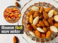 एका दिवसात किती बदाम खाणं योग्य? भिजवून खावे की तसेच..? पाहा बदाम खाण्याची योग्य पद्धत - Marathi News | Soked Vs Raw Almonds : How Many Almonds Should You Eat Daily | Latest sakhi Photos at Lokmat.com