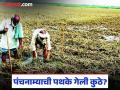 शेती पाण्यात, शेतकरी संकटात पंचनाम्याची पथके गेली कुठे? कापूस, सोयाबीन व धान पिकांचे प्रचंड नुकसान - Marathi News | Agriculture in water, farmers in distress, where did the Panchnama teams go? Huge damage to cotton, soybean and paddy crops | Latest chandrapur News at Lokmat.com